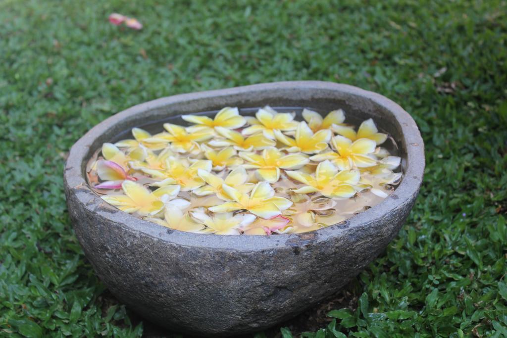 Odah Ayu Guest House Ubud Zewnętrze zdjęcie